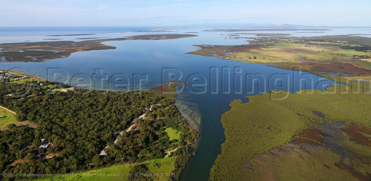 Peter Bellingham Photography Robertsons Beach - VIC T (PBH3 00 33516)